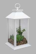 تنزيل الصورة على معرض الصور، Redtag-White-Decorative-Lantern-with-Artificial-Succulent(Gift-Set)-Gift-Sets-Home-Decor-