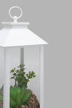 تنزيل الصورة على معرض الصور، Redtag-White-Decorative-Lantern-with-Artificial-Succulent(Gift-Set)-Gift-Sets-Home-Decor-