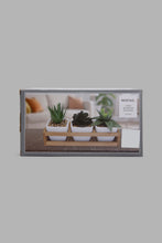 تنزيل الصورة على معرض الصور، Redtag-White-Set-of-3-Artificial-Succulent-(Gift-Set)-Gift-Sets-Home-Decor-