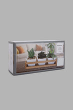 تنزيل الصورة على معرض الصور، Redtag-White-Set-of-3-Artificial-Succulent-(Gift-Set)-Gift-Sets-Home-Decor-