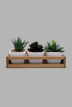 تنزيل الصورة على معرض الصور، Redtag-White-Set-of-3-Artificial-Succulent-(Gift-Set)-Gift-Sets-Home-Decor-