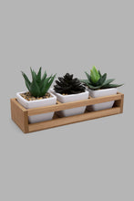 تنزيل الصورة على معرض الصور، Redtag-White-Set-of-3-Artificial-Succulent-(Gift-Set)-Gift-Sets-Home-Decor-