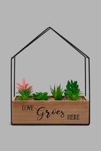 تنزيل الصورة على معرض الصور، Redtag-Brown-Decorative-Artificial-Succulent-(Gift-Set)-Gift-Sets-Home-Decor-