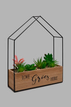 تنزيل الصورة على معرض الصور، Redtag-Brown-Decorative-Artificial-Succulent-(Gift-Set)-Gift-Sets-Home-Decor-