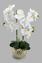 Load image into Gallery viewer, Redtag-Gold-Artificial-Orchids-In-Ceramic-Vase-Artificial-Plants-Home-Decor-