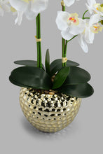 Load image into Gallery viewer, Redtag-Gold-Artificial-Orchids-In-Ceramic-Vase-Artificial-Plants-Home-Decor-