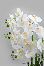 Load image into Gallery viewer, Redtag-Gold-Artificial-Orchids-In-Ceramic-Vase-Artificial-Plants-Home-Decor-