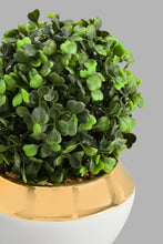 Load image into Gallery viewer, Redtag-Gold-Ceramic-Pot-With-Artificial-Succulent-Artificial-Plants-Home-Decor-