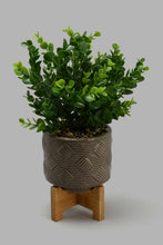 Load image into Gallery viewer, Redtag-Brown-Artificial-Plant-in-Ceramic-Pot-with-Stand-Artificial-Plants-Home-Decor-