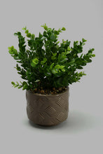 Load image into Gallery viewer, Redtag-Brown-Artificial-Plant-in-Ceramic-Pot-with-Stand-Artificial-Plants-Home-Decor-
