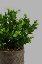 Load image into Gallery viewer, Redtag-Brown-Artificial-Plant-in-Ceramic-Pot-with-Stand-Artificial-Plants-Home-Decor-