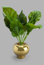 تنزيل الصورة على معرض الصور، Redtag-Gold-Artificial-Plant-In-Ceramic-Pot-Artificial-Plants-Home-Decor-