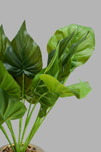 تنزيل الصورة على معرض الصور، Redtag-Gold-Artificial-Plant-In-Ceramic-Pot-Artificial-Plants-Home-Decor-