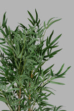 تنزيل الصورة على معرض الصور، Redtag-Artificial-Bigplant-In-White-Ribbed-Pot-Category:Plants-&-Flowers,-Colour:White,-Filter:Home-Decor,-HMW-HOM-Dea-Decorative-Accessories,-New-In,-New-In-HMW-HOM,-Non-Sale,-PERIGOLD,-S22B,-Section:Homewares-Home-Decor-