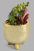 Load image into Gallery viewer, Redtag-Gold-Ceramic-Pot-With-Artificial-Succulent-Artificial-Plants-Home-Decor-