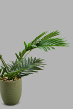تنزيل الصورة على معرض الصور، Redtag-Artificial-Plant-In-Green-Ceramic-Pot-Category:Plants-&-Flowers,-Colour:Green,-Filter:Home-Decor,-HARMONY,-HMW-HOM-Decorative-Accessories,-New-In,-New-In-HMW-HOM,-Non-Sale,-S22C,-Section:Homewares-Home-Decor-