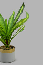 تنزيل الصورة على معرض الصور، Redtag-Artificial-Plant-In-White-Gold-Ceramic-Pot-Category:Plants-&-Flowers,-Colour:White,-Filter:Home-Decor,-HARMONY,-HMW-HOM-Decorative-Accessories,-New-In,-New-In-HMW-HOM,-Non-Sale,-S22C,-Section:Homewares-Home-Decor-