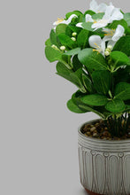 تنزيل الصورة على معرض الصور، Redtag-Artificial-Plant-In-Brown-Pattern-Ceramic-Pot-Category:Plants-&-Flowers,-Colour:Brown,-Filter:Home-Decor,-HARMONY,-HMW-HOM-Decorative-Accessories,-New-In,-New-In-HMW-HOM,-Non-Sale,-S22C,-Section:Homewares-Home-Decor-