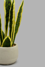 تنزيل الصورة على معرض الصور، Redtag-Artificial-Snake-Plant-In-White-Stripe-Ceramic-Pot-Category:Plants-&-Flowers,-Colour:White,-Filter:Home-Decor,-HARMONY,-HMW-HOM-Decorative-Accessories,-New-In,-New-In-HMW-HOM,-Non-Sale,-S22C,-Section:Homewares-Home-Decor-