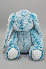 Load image into Gallery viewer, White/Blue Baby Blanket With Toy Rabbit - REDTAG
