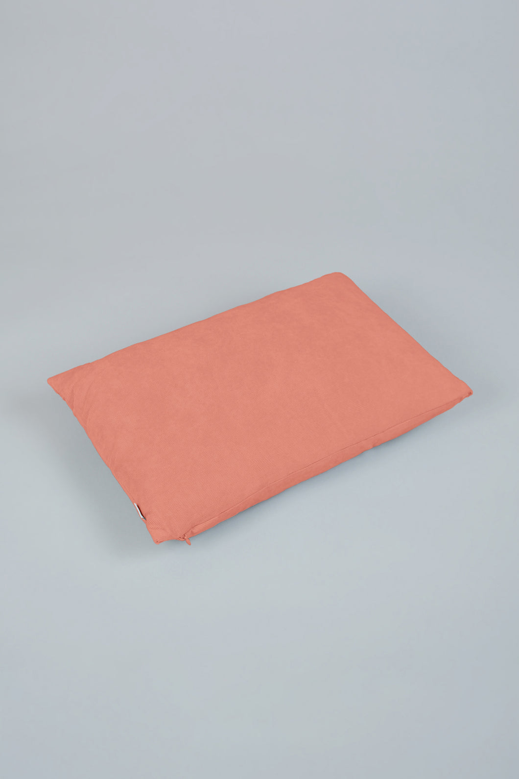 Pink Pinsonic Plain Cushion