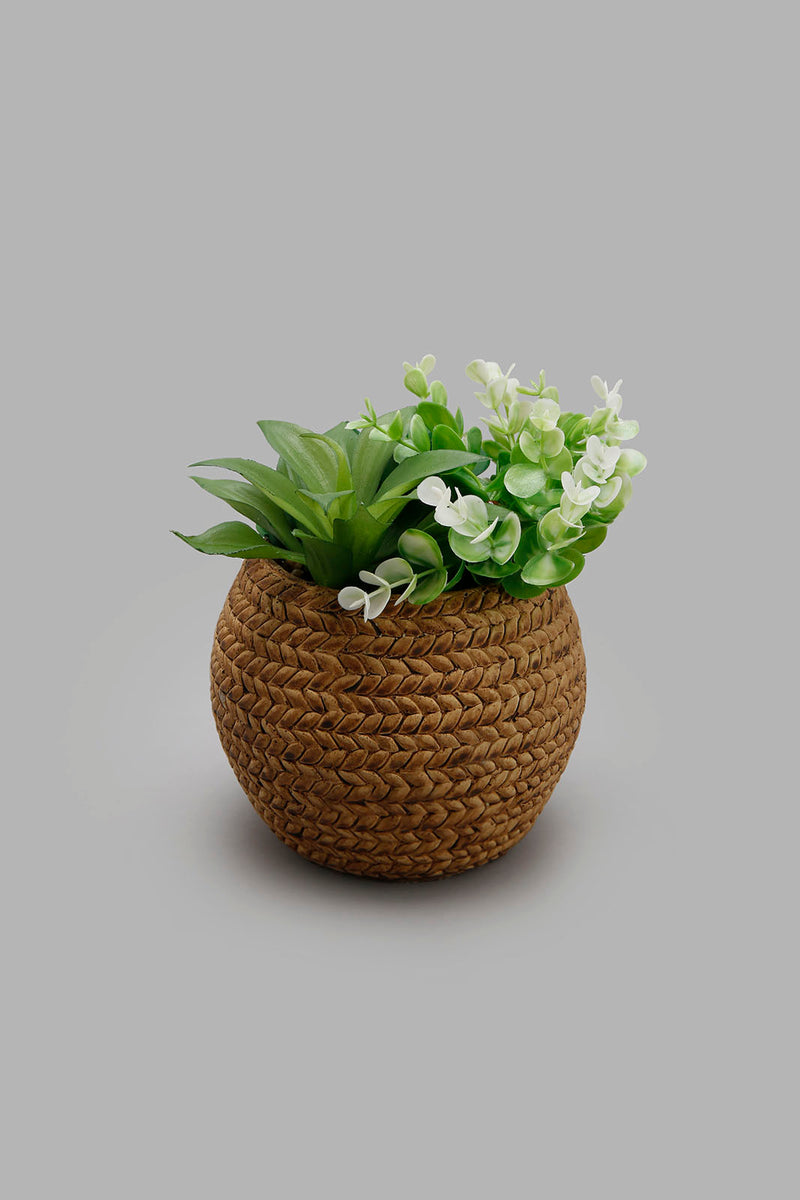 Redtag-Brown-Ceramic-Pot-with-Artificial-Succulent-Colour:Brown,-Filter:Home-Decor,-HMW-HOM-Plants-&-Flowers,-HOM-HOME-SPUN-3,-New-In,-New-In-HMW-HOM,-Non-Sale,-Section:Homewares,-W21B-Home-Decor-