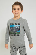 Load image into Gallery viewer, Grey Dinosaur Printed Sweatshirt
