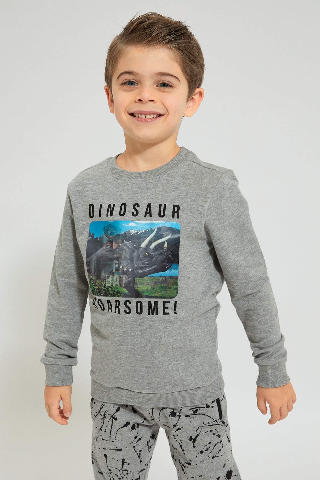 Grey Dinosaur Printed Sweatshirt