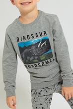 Load image into Gallery viewer, Grey Dinosaur Printed Sweatshirt
