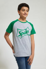 Load image into Gallery viewer, Grey Raglan T-Shirt With Green Sleeves
