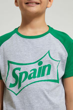 Load image into Gallery viewer, Grey Raglan T-Shirt With Green Sleeves
