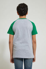 Load image into Gallery viewer, Grey Raglan T-Shirt With Green Sleeves
