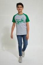 Load image into Gallery viewer, Grey Raglan T-Shirt With Green Sleeves
