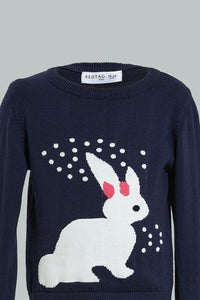 Navy Bunny Pullover