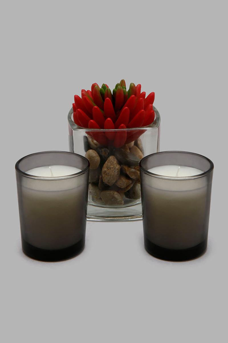 Redtag-Alpine-Silver-Votive-set-with-Artificial-Planter-Pot-Gift-Set-Diffuser-Home-Decor-