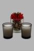 Redtag-Alpine-Silver-Votive-set-with-Artificial-Planter-Pot-Gift-Set-Diffuser-Home-Decor-