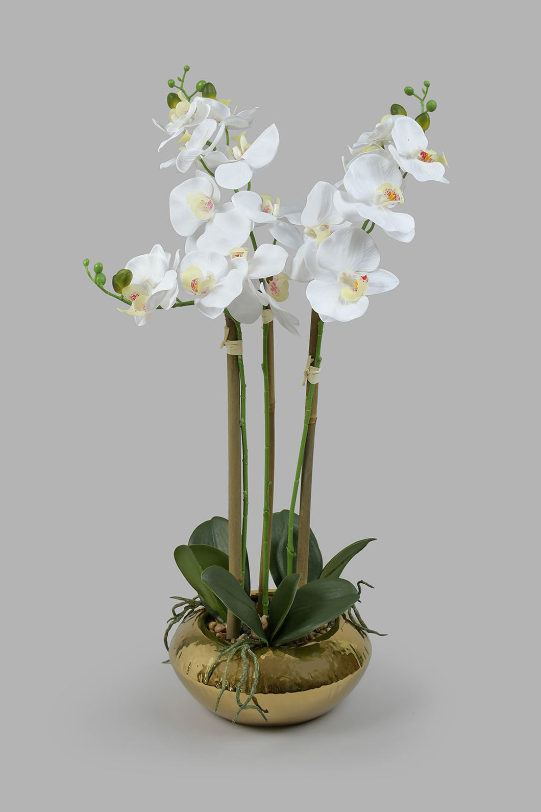 Redtag-Artificial-Orchid-in-Ceramic-Gold-Vase-Colour:Gold,-Filter:Home-Decor,-HMW-HOM-Plants-&-Flowers,-HOM-HOME-SPUN-2,-New-In,-New-In-HMW-HOM,-Non-Sale,-Section:Homewares,-W21B-Home-Decor-