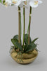 Redtag-Artificial-Orchid-in-Ceramic-Gold-Vase-Colour:Gold,-Filter:Home-Decor,-HMW-HOM-Plants-&-Flowers,-HOM-HOME-SPUN-2,-New-In,-New-In-HMW-HOM,-Non-Sale,-Section:Homewares,-W21B-Home-Decor-