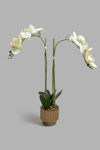 تنزيل الصورة على معرض الصور، Redtag-White-Artificial-Orchid-in-Ceramic-Gold-Vase-Colour:Gold,-Filter:Home-Decor,-HMW-HOM-Plants-&amp;-Flowers,-New-In,-New-In-HMW-HOM,-Non-Sale,-Section:Homewares,-W21B-Home-Decor-
