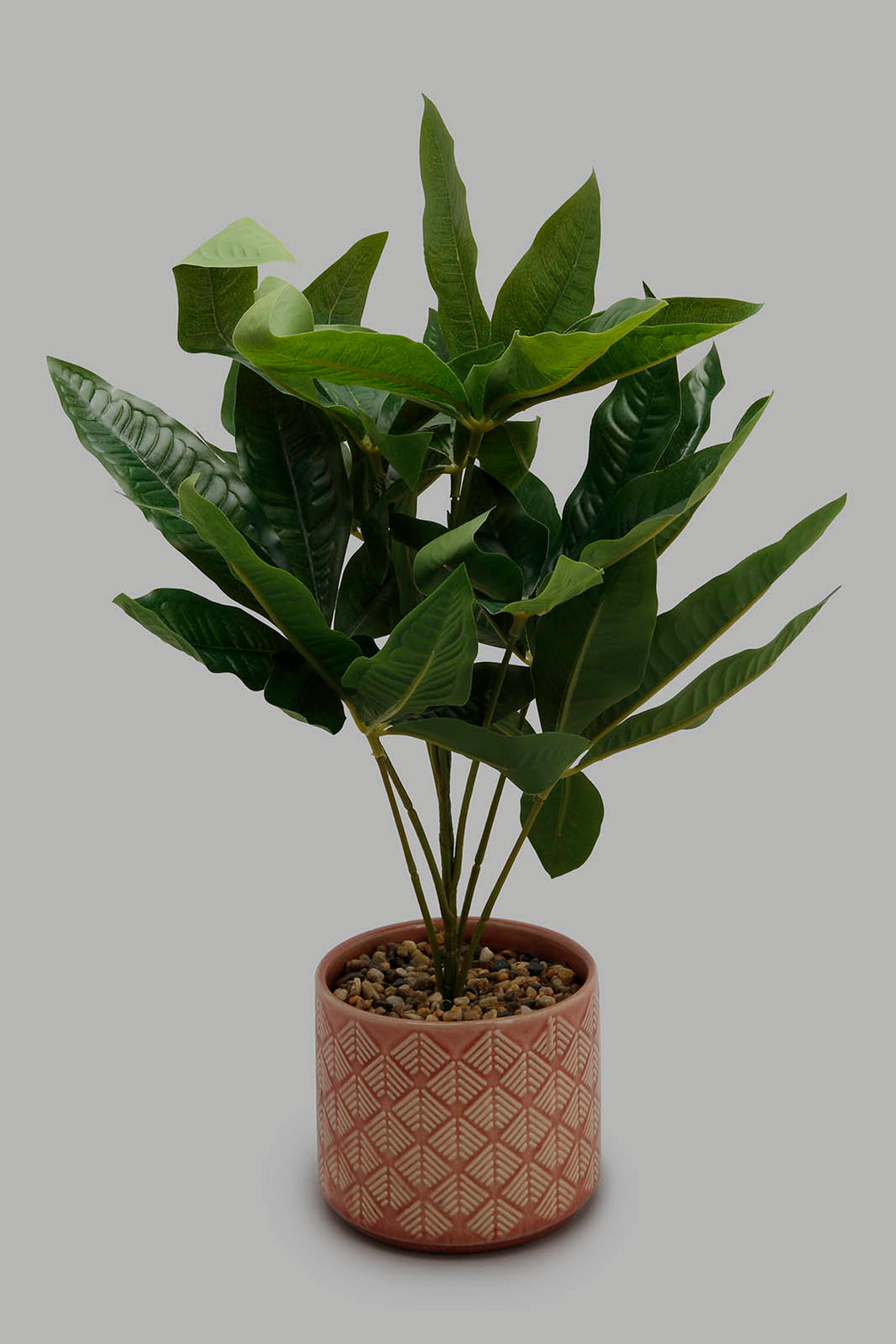Redtag-Artificial-Plant-in-Ceramic-Pot-Artificial-Plants-Home-Decor-