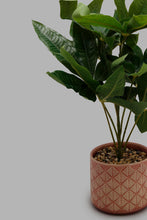 Load image into Gallery viewer, Redtag-Artificial-Plant-in-Ceramic-Pot-Artificial-Plants-Home-Decor-
