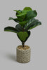 Redtag-Artificial-Plant-in-Ceramic-Pot-Artificial-Plants-Home-Decor-