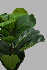 Redtag-Artificial-Plant-in-Ceramic-Pot-Artificial-Plants-Home-Decor-