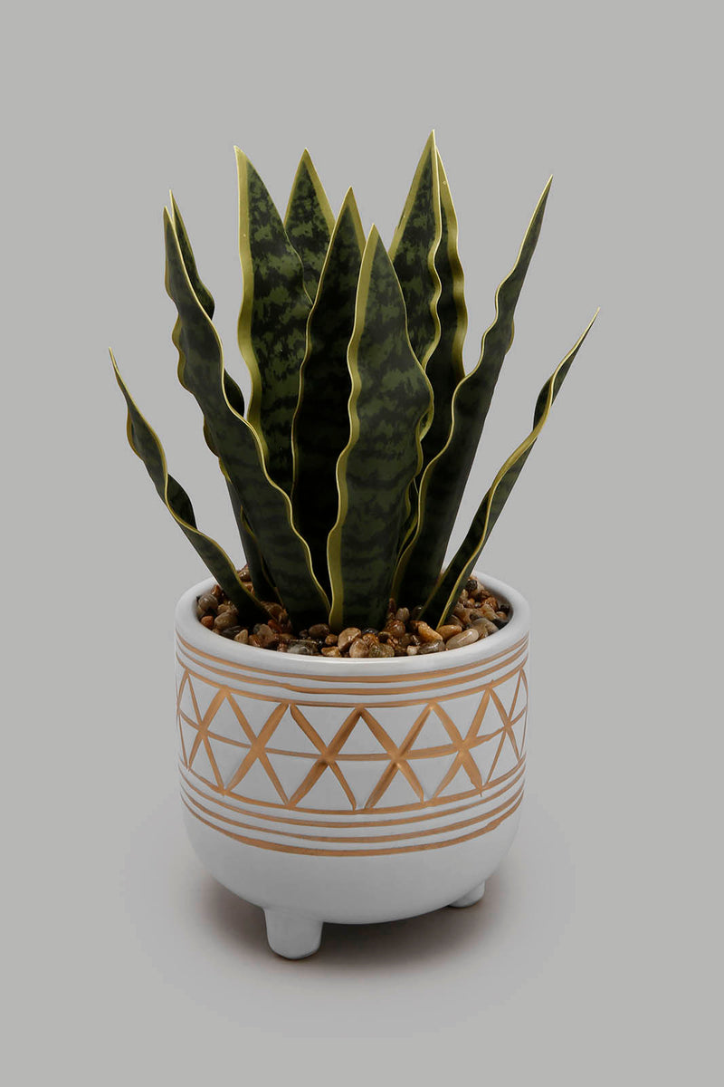 Redtag-Artificial-Plant-in-Ceramic-Pot-Artificial-Plants-Home-Decor-