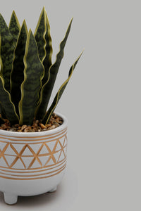 Redtag-Artificial-Plant-in-Ceramic-Pot-Artificial-Plants-Home-Decor-