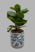 Load image into Gallery viewer, Redtag-Artificial-Plant-in-Ceramic-Pot-Artificial-Plants-Home-Decor-
