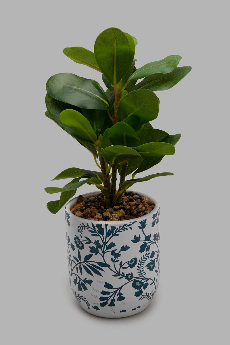 Redtag-Artificial-Plant-in-Ceramic-Pot-Artificial-Plants-Home-Decor-
