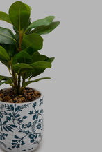Load image into Gallery viewer, Redtag-Artificial-Plant-in-Ceramic-Pot-Artificial-Plants-Home-Decor-
