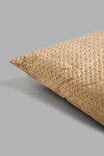Load image into Gallery viewer, Redtag-Beige-Pinsonic-Velvet-Floor-Cushion-Floor-Cushions-Home-Bedroom-
