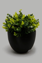 تنزيل الصورة على معرض الصور، Redtag-Artificial-Plant-in-Black-Ceramic-Pot-Artificial-Plants-Home-Decor-
